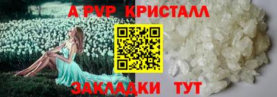 стаф Пугачёв