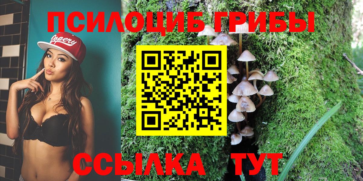 Сибай  Псилоцибиновые грибы мухоморы  Вход с VPN 